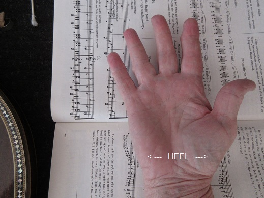 Heel of hand.